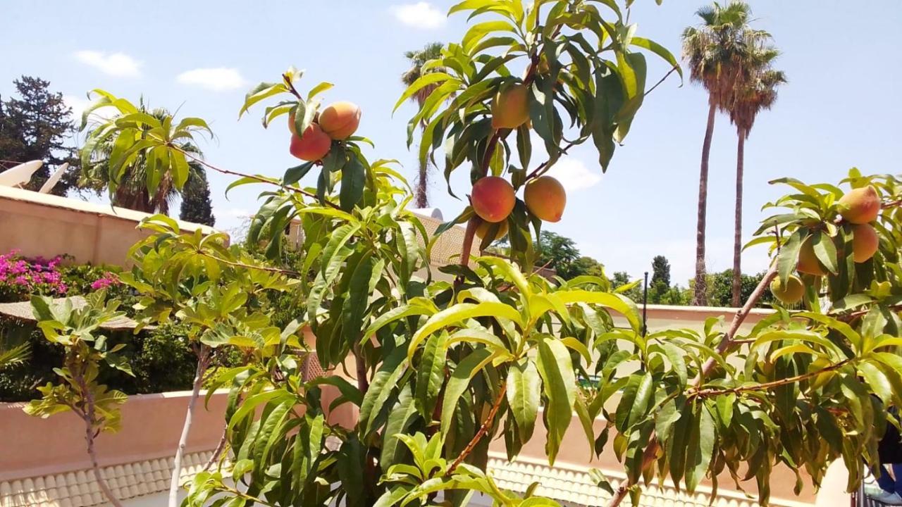 Riad Zouhour Marrakesh Exterior foto