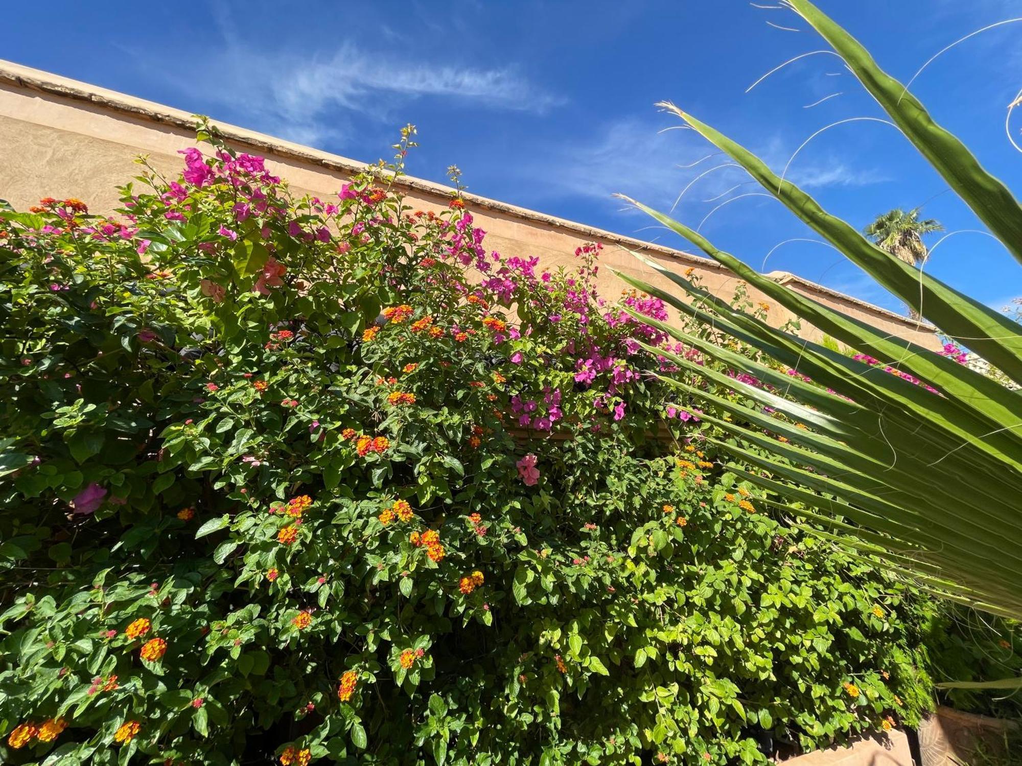 Riad Zouhour Marrakesh Exterior foto